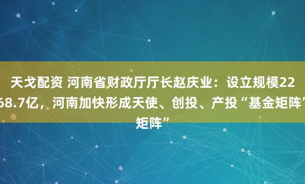 天戈配资 河南省财政厅厅长赵庆业：设立规模2268.7亿，河南加快形成天使、创投、产投“基金矩阵”
