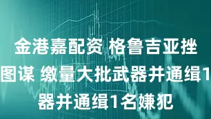 金港嘉配资 格鲁吉亚挫败袭击图谋 缴量大批武器并通缉1名嫌犯